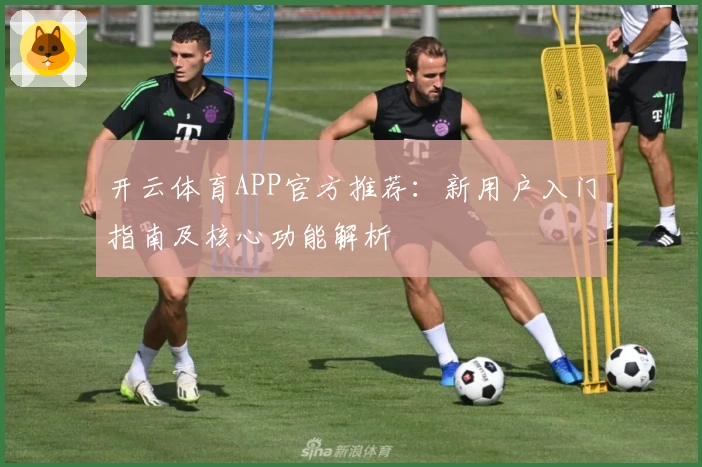 开云体育APP官方推荐：新用户入门指南及核心功能解析